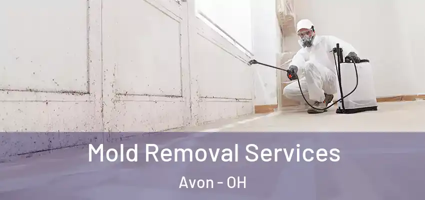 Mold Removal Services Avon - OH
