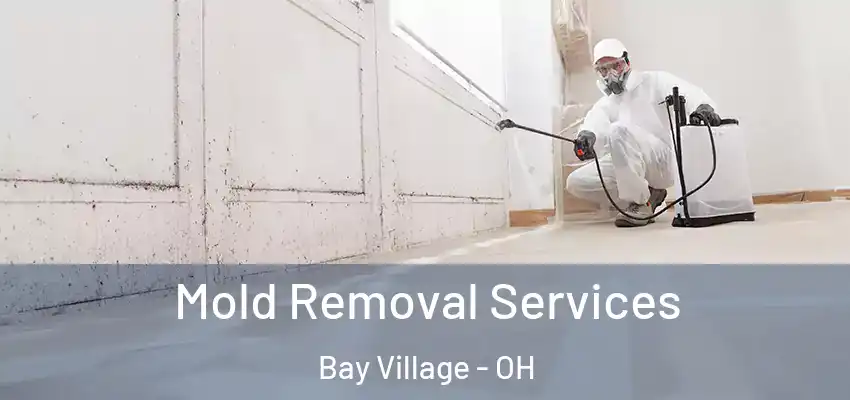 Mold Removal Services Bay Village - OH