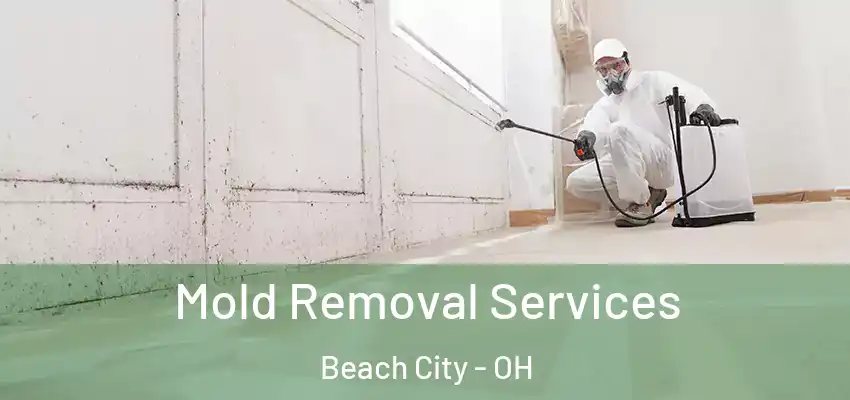  Mold Removal Services Beach City - OH