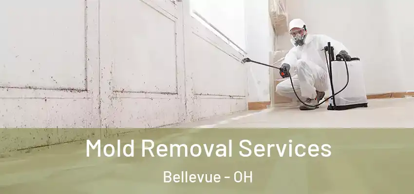 Mold Removal Services Bellevue - OH