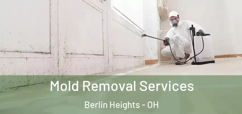  Mold Removal Services Berlin Heights - OH