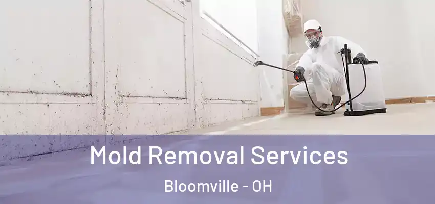 Mold Removal Services Bloomville - OH
