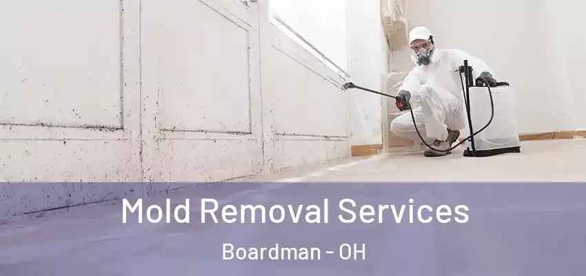 Mold Removal Services Boardman - OH