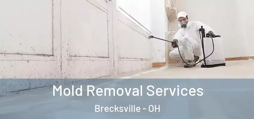  Mold Removal Services Brecksville - OH