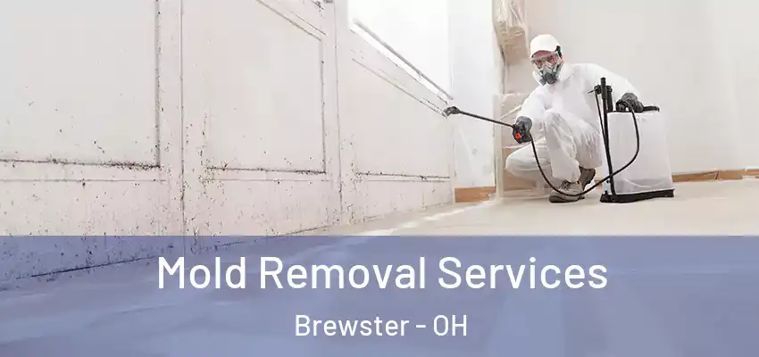 Mold Removal Services Brewster - OH
