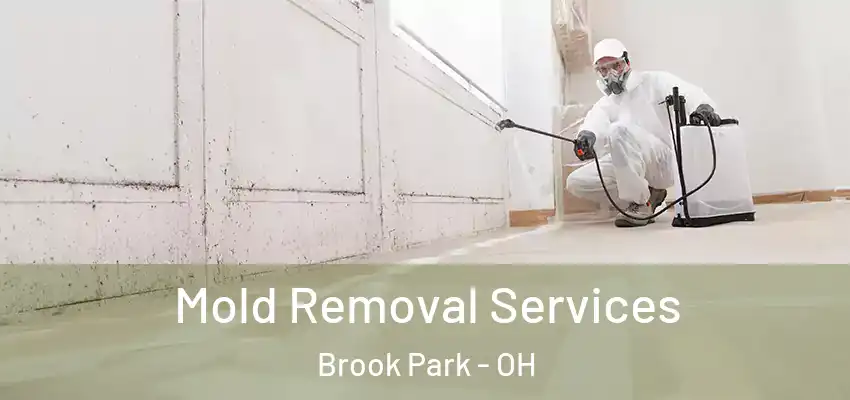 Mold Removal Services Brook Park - OH