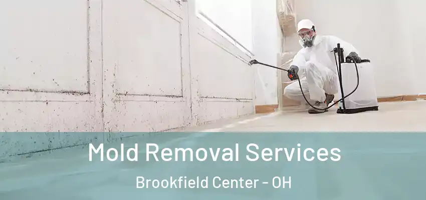  Mold Removal Services Brookfield Center - OH