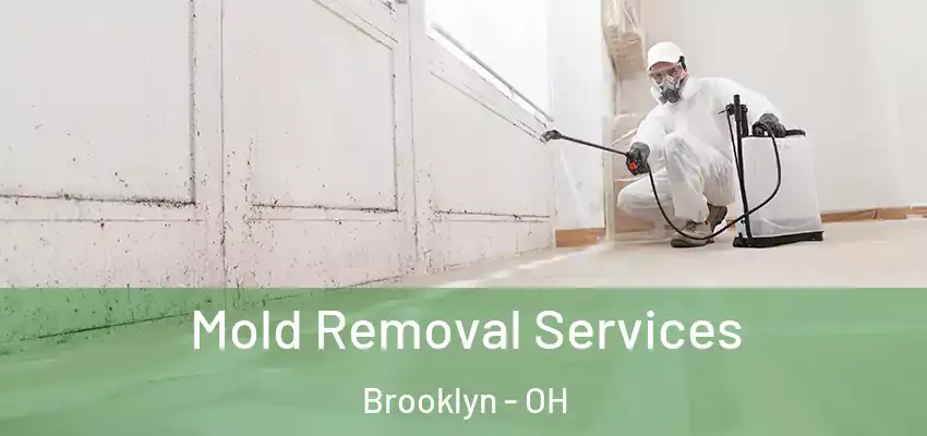  Mold Removal Services Brooklyn - OH