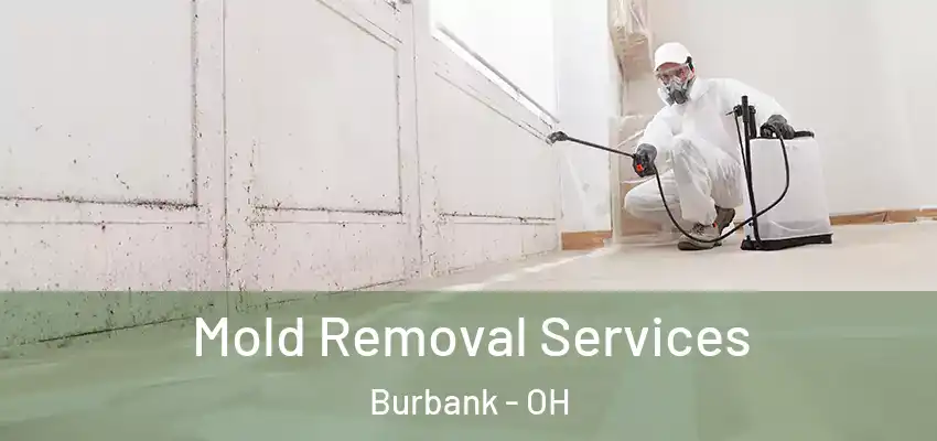 Mold Removal Services Burbank - OH