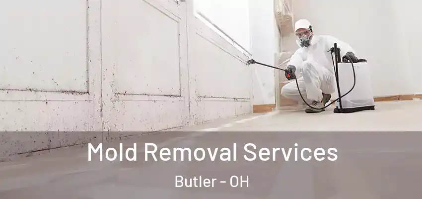  Mold Removal Services Butler - OH