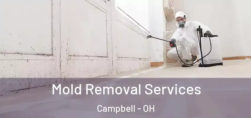 Mold Removal Services Campbell - OH
