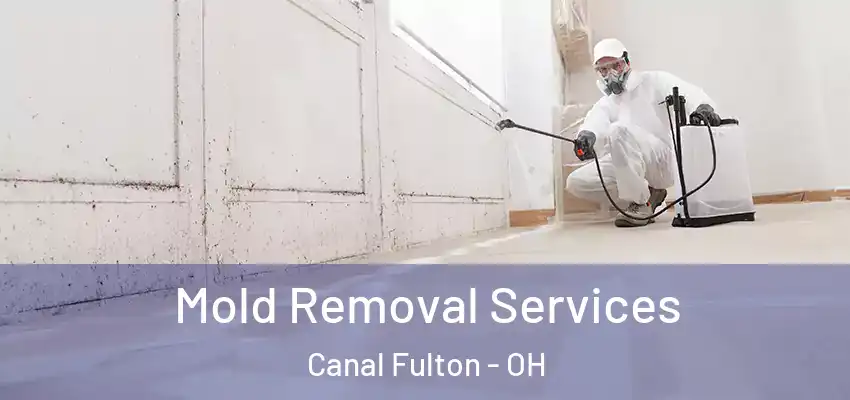  Mold Removal Services Canal Fulton - OH