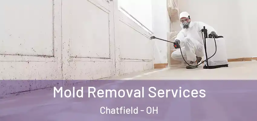 Mold Removal Services Chatfield - OH