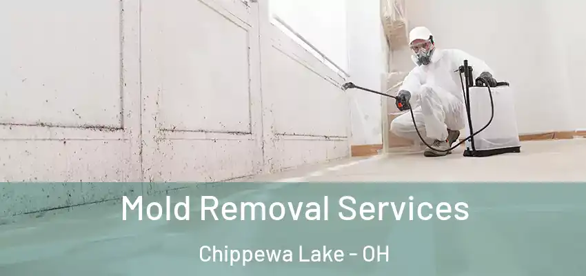 Mold Removal Services Chippewa Lake - OH