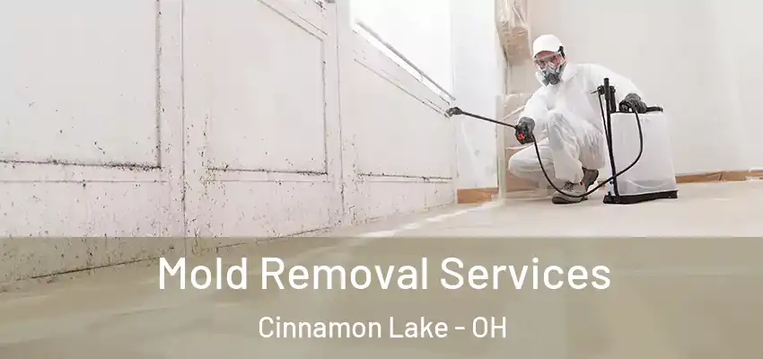  Mold Removal Services Cinnamon Lake - OH