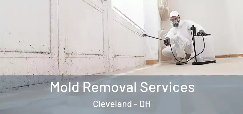 Mold Removal Services Cleveland - OH