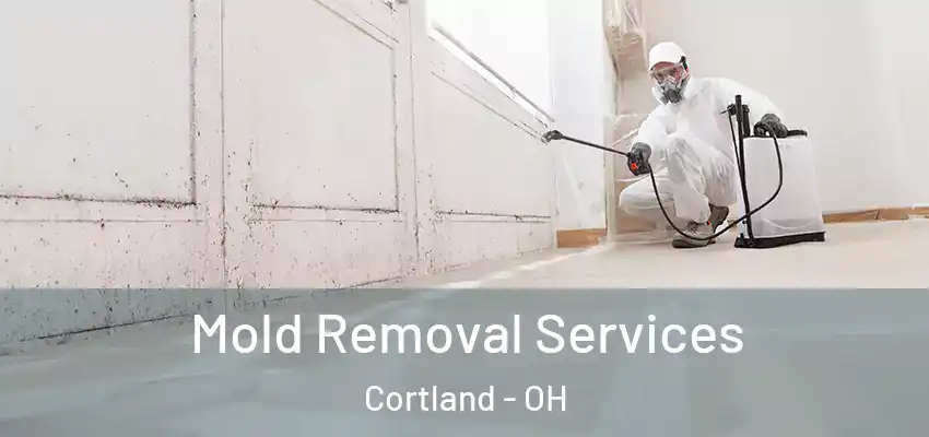 Mold Removal Services Cortland - OH