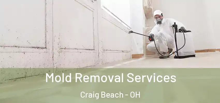  Mold Removal Services Craig Beach - OH