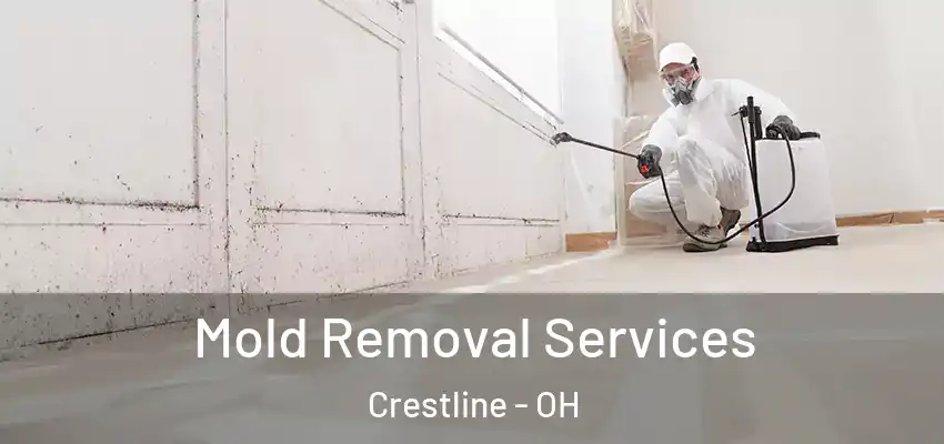 Mold Removal Services Crestline - OH