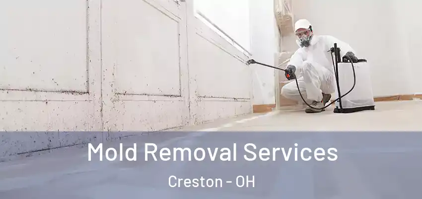 Mold Removal Services Creston - OH