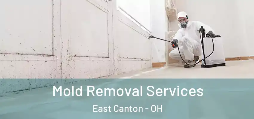 Mold Removal Services East Canton - OH