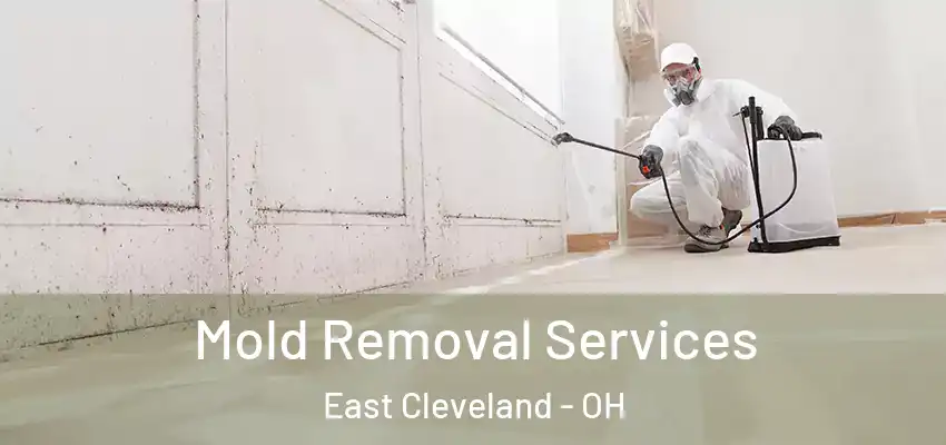  Mold Removal Services East Cleveland - OH