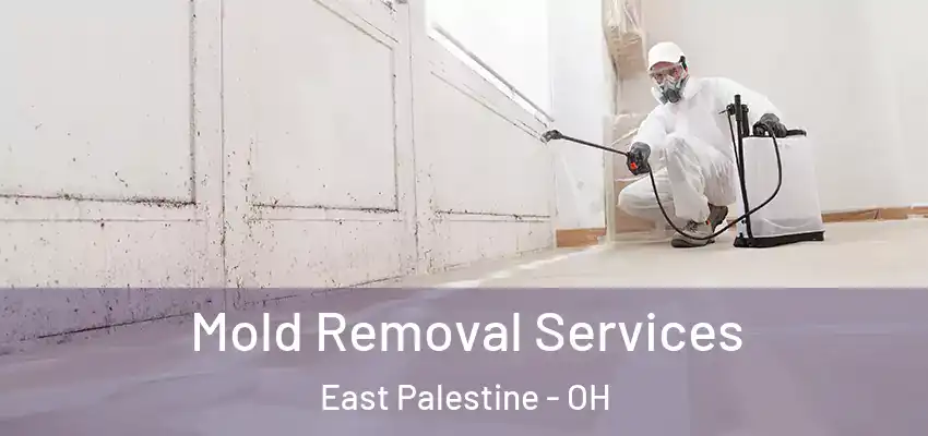 Mold Removal Services East Palestine - OH