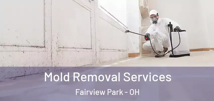 Mold Removal Services Fairview Park - OH