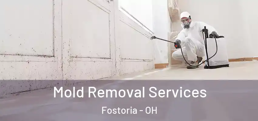 Mold Removal Services Fostoria - OH