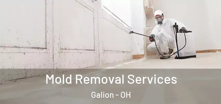Mold Removal Services Galion - OH
