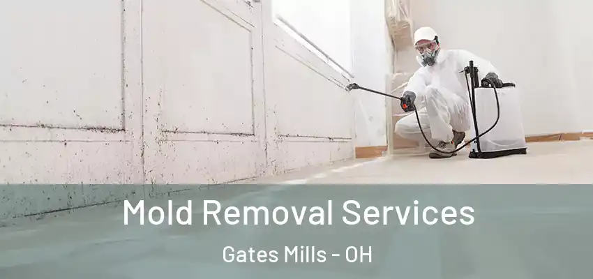 Mold Removal Services Gates Mills - OH