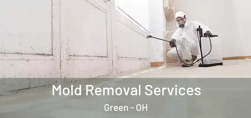 Mold Removal Services Green - OH