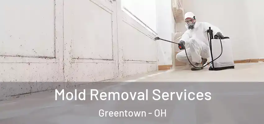 Mold Removal Services Greentown - OH