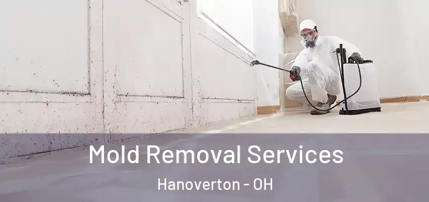 Mold Removal Services Hanoverton - OH