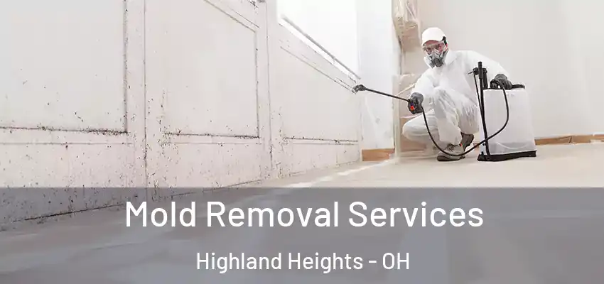 Mold Removal Services Highland Heights - OH