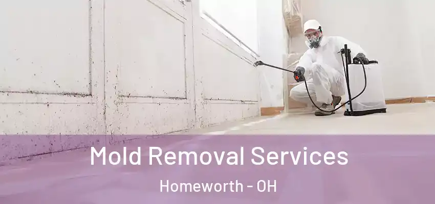 Mold Removal Services Homeworth - OH