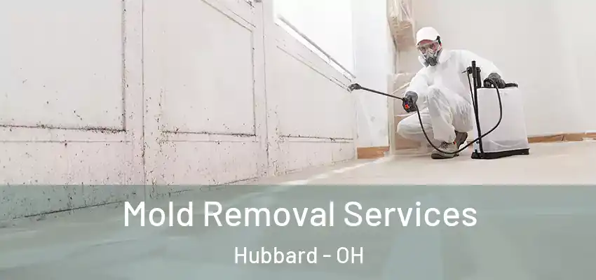 Mold Removal Services Hubbard - OH