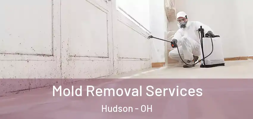 Mold Removal Services Hudson - OH