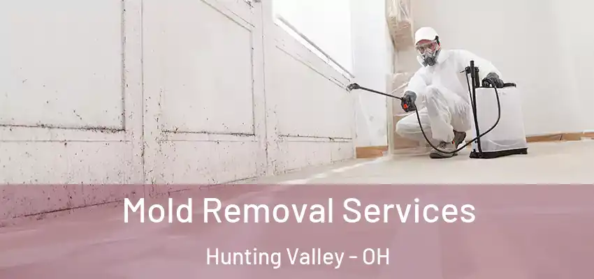 Mold Removal Services Hunting Valley - OH