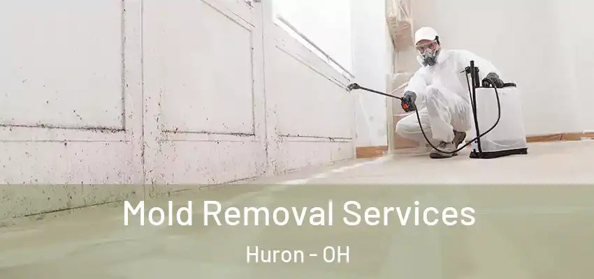  Mold Removal Services Huron - OH