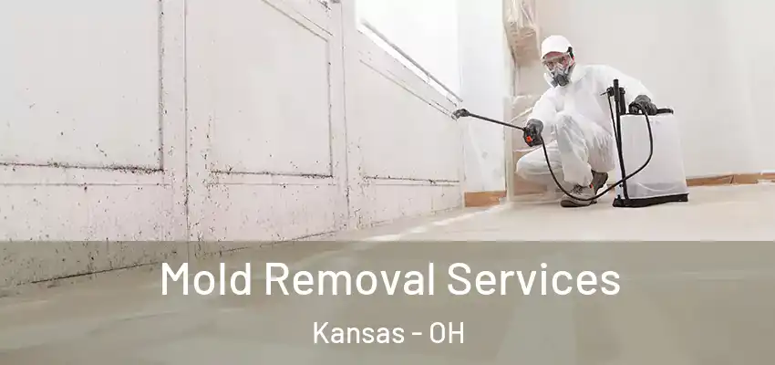 Mold Removal Services Kansas - OH