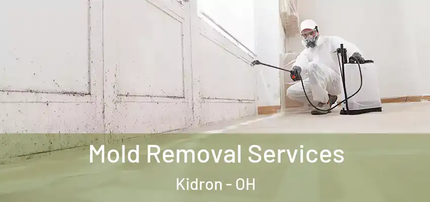 Mold Removal Services Kidron - OH