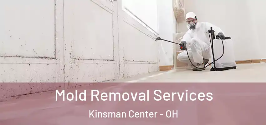 Mold Removal Services Kinsman Center - OH