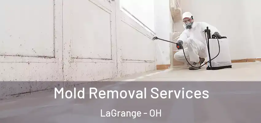  Mold Removal Services LaGrange - OH