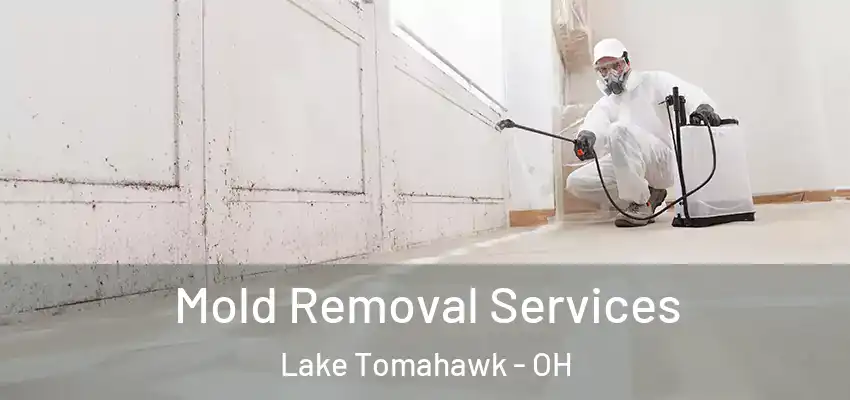 Mold Removal Services Lake Tomahawk - OH