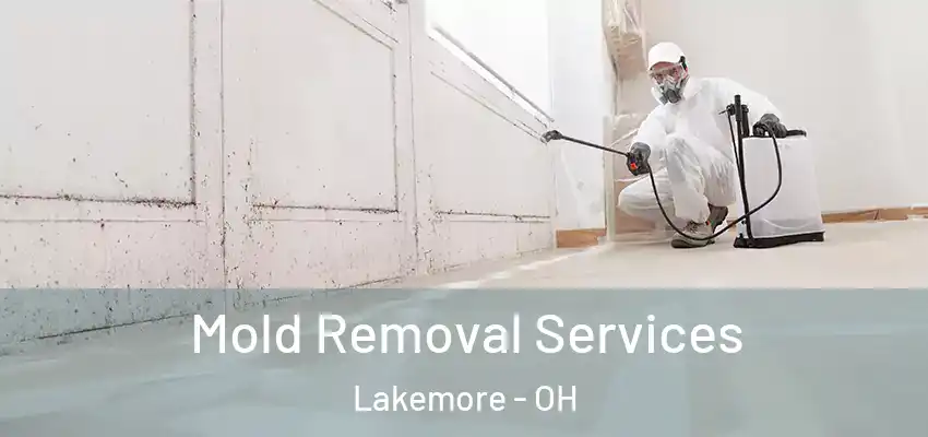 Mold Removal Services Lakemore - OH