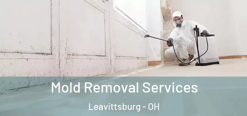 Mold Removal Services Leavittsburg - OH