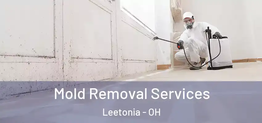 Mold Removal Services Leetonia - OH