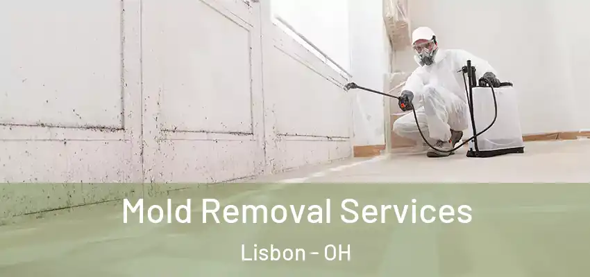  Mold Removal Services Lisbon - OH