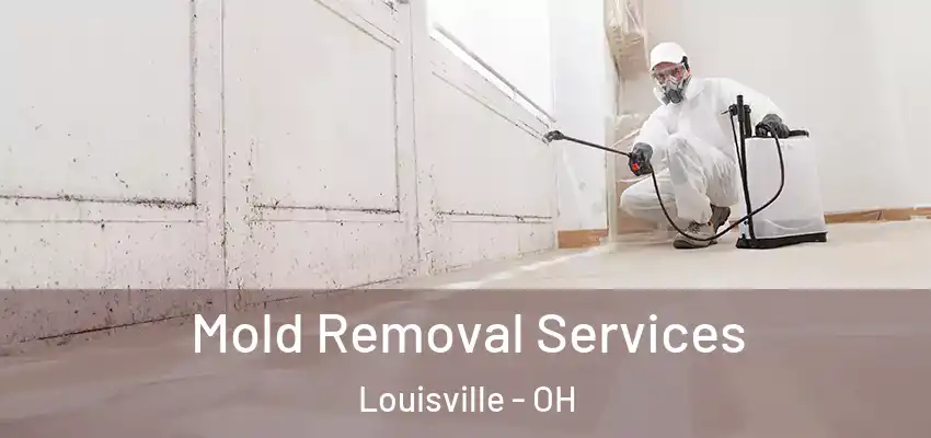 Mold Removal Services Louisville - OH